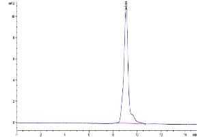 Size-exclusion chromatography-High Pressure Liquid Chromatography (SEC-HPLC) image for Interleukin 10 (IL10) (AA 19-178) protein (ABIN7274884)