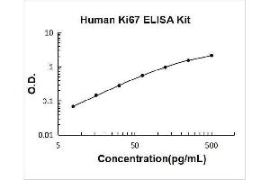 Typical Standard Curve