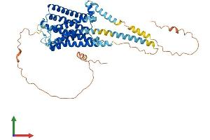 AlphaFold protein structure predicition of Human Recombinant HTR7 Protein, UniprotID P34969 (HTR7 Protein (AA 1-479) (His tag))