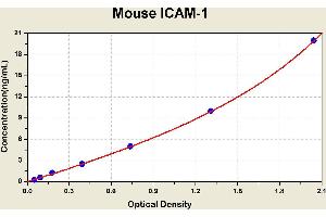 Intercellular Adhesion Molecule 1 (ICAM1) ELISA Kit