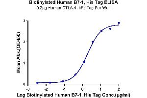 ELISA image for CD80 (CD80) (AA 35-242) protein (His-Avi Tag,Biotin) (ABIN7273894)
