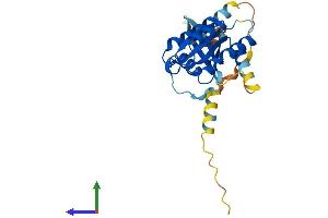 Protein Structure (PS) image for RAS-Like, Family 11, Member A (RASL11A) (AA 1-242) protein (His tag) (ABIN7551577)