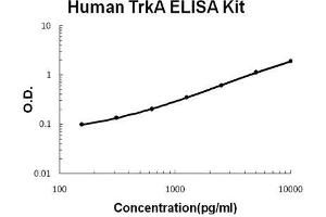 Human TrkA PicoKine ELISA Kit standard curve (TRKA ELISA 试剂盒)