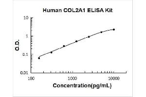 Typical Standard Curve