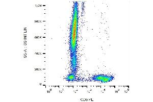 Surface staining of CD5 in human peripheral blood cells with anti-CD5 (L17F12) PE. (CD5 抗体  (PE))