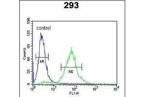 SETD8 Antibody (Center) (ABIN390472 and ABIN2840838) flow cytometric analysis of 293 cells (right histogram) compared to a negative control cell (left histogram). (SETD8 抗体  (AA 220-249))