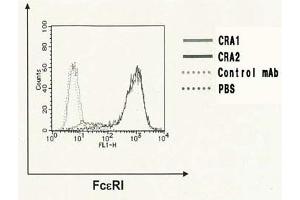 Flow Cytometry (FACS) image for anti-Fc Fragment of IgE Receptor Ia (FCER1A) (AA 1-84) antibody (FITC) (ABIN2451976) (Fc epsilon RI/FCER1A 抗体  (AA 1-84) (FITC))