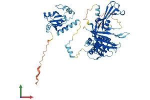 Protein Structure (PS) image for Ubiquitin Specific Peptidase 22 (USP22) (AA 1-525) protein (His tag) (ABIN7557435)