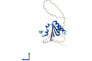 Protein Structure (PS) image for Chromosome 7 Open Reading Frame 30 (C7orf30) (AA 1-234) protein (His tag) (ABIN7549252)