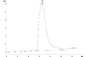 Size-exclusion chromatography-High Pressure Liquid Chromatography (SEC-HPLC) image for Killer Cell Lectin-Like Receptor Subfamily C, Member 1 (KLRC1) (AA 100-233) protein (His-Avi Tag) (ABIN7275338)