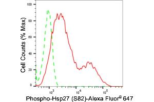 Flow cytometric analysis of phospho-Hsp27 (S82) expression in HepG2 cells using phospho-Hsp27 (S82) antibody (ABIN7798844), 1:2,000). (Recombinant HSP27 抗体  (pSer82))