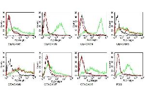 Specificity testing of MUS. (CEACAM5/6 抗体)