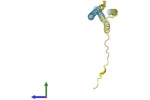 Protein Structure (PS) image for CKLF-Like MARVEL Transmembrane Domain Containing 1 (CMTM1) (AA 1-169) protein (His tag) (ABIN7546524)