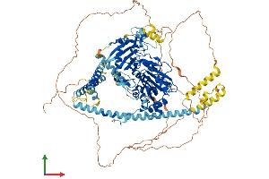 AlphaFold protein structure predicition of Mouse Recombinant Morc1 Protein, UniprotID Q9WVL5 (MORC1 Protein (AA 1-950) (His tag))