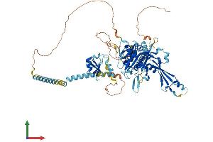 Protein Structure (PS) image for Ubiquitin Specific Peptidase 44 (USP44) (AA 1-712) protein (His tag) (ABIN7555962)