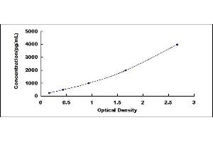 Typical standard curve (Laminin alpha 5 ELISA 试剂盒)
