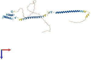 DSN1 Protein (AA 1-356) (His tag)