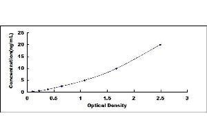 Typical standard curve (AMN ELISA 试剂盒)