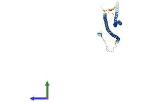 Protein Structure (PS) image for Glial Fibrillary Acidic Protein (GFAP) (AA 1-432) protein (His tag) (ABIN7547921)