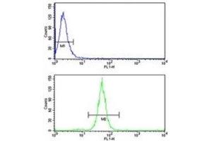 TGN46 antibody flow cytometry analysis of MDA-MB231 cells (green) compared to a negative control (blue). (TGOLN2 抗体  (AA 399-427))