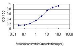 Detection limit for recombinant GST tagged EVL is approximately 0. (EVL 抗体  (AA 309-418))
