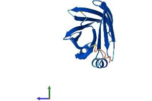 AlphaFold protein structure predicition of Human Recombinant FABP12 Protein, UniprotID A6NFH5