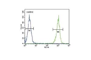 LTF Antibody (ABIN652643 and ABIN2842432) flow cytometric analysis of MDA-M cells (right histogram) compared to a negative control cell (left histogram). (Lactoferrin 抗体)