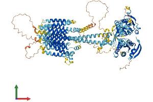 Protein Structure (PS) image for Adenylate Cyclase 7 (Adcy7) (AA 1-1099) protein (His tag) (ABIN7563398)