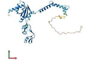 Protein Structure (PS) image for Ribosomal Protein, Large, P0 (RPLP0) (AA 1-317) protein (His tag) (ABIN7562879)