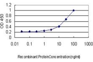 Detection limit for recombinant GST tagged CRLF2 is approximately 3ng/ml as a capture antibody. (CRLF2 抗体  (AA 23-132))