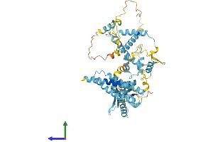 Protein Structure (PS) image for General Transcription Factor IIH, Polypeptide 1, 62kDa (GTF2H1) (AA 1-547) protein (His tag) (ABIN7561269)