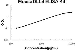 Mouse DLL4 PicoKine ELISA Kit standard curve (DLL4 ELISA 试剂盒)