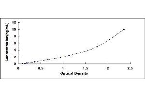 Typical standard curve (PMP2 ELISA 试剂盒)