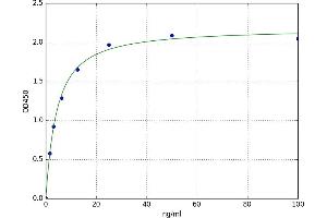 A typical standard curve (alpha Fetoprotein ELISA 试剂盒)