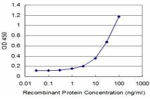 Detection limit for recombinant GST tagged MEOX2 is approximately 1ng/ml as a capture antibody. (MEOX2 抗体  (AA 1-303))