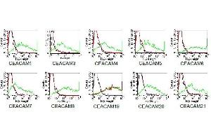 BOSC23 cells were transiently transfected with expression vectors containing either the cDNA of CEACAM1, CEACAM3-8 or CEACAM19-21.