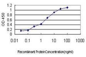 Detection limit for recombinant GST tagged FKSG14 is approximately 0. (CENPK 抗体  (AA 1-269))
