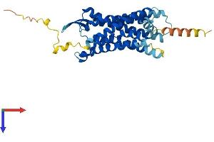 Protein Structure (PS) image for G Protein-Coupled Receptor 77 (GPR77) (AA 1-337) protein (His tag) (ABIN7552786)