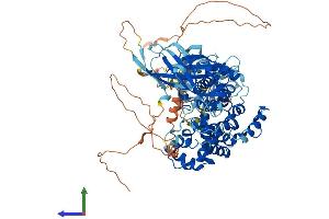 Protein Structure (PS) image for RAB GTPase Activating Protein 1-Like (RABGAP1L) (AA 1-815) protein (His tag) (ABIN7551237)