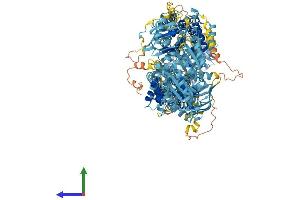 Protein Structure (PS) image for ATP-Binding Cassette, Sub-Family A (ABC1), Member 8 (ABCA8) (AA 1-1620) protein (His tag) (ABIN7564665)