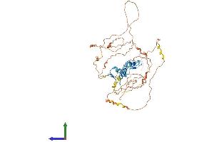 AlphaFold protein structure predicition of Human Recombinant EGR2 Protein, UniprotID P11161