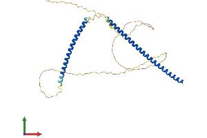 Protein Structure (PS) image for Kinetochore-Localized Astrin/SPAG5 Binding Protein (KNSTRN) (AA 1-312) protein (His tag) (ABIN7561196)