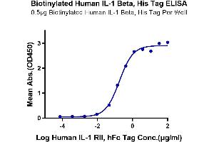Immobilized Biotinylated Human IL-1 Beta, His Tag at 1 μg/mL (100 μL/Well) on the plate.
