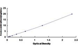 Typical standard curve (SLC7A1 ELISA 试剂盒)