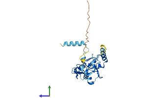 Protein Structure (PS) image for Ring Finger Protein 114 (RNF114) (AA 1-228) protein (His tag) (ABIN7551447)