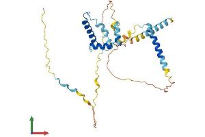 AlphaFold protein structure predicition of Human Recombinant TIPIN Protein, UniprotID Q9BVW5