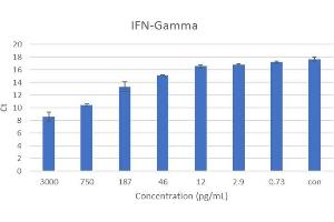 ELISA image for Interferon gamma (IFNG) IQ-ELISA Kit (ABIN5680034) (Interferon gamma IQ-ELISA 试剂盒)