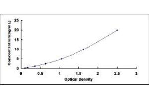 Typical standard curve (PFKM ELISA 试剂盒)