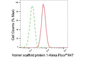 Flow cytometric analysis of homer scaffold protein 1 expression in HAP-1 cells using homer scaffold protein 1 antibody (ABIN7800940), 1:2,000).