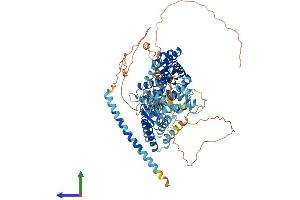 Protein Structure (PS) image for RAS Guanyl Releasing Protein 1 (Calcium and DAG-Regulated) (RASGRP1) (AA 1-795) protein (His tag) (ABIN7565281)